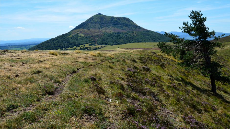 Vue paisible de montagne avec des collines herbeuses et un arbre solitaire sous un ciel bleu clair.