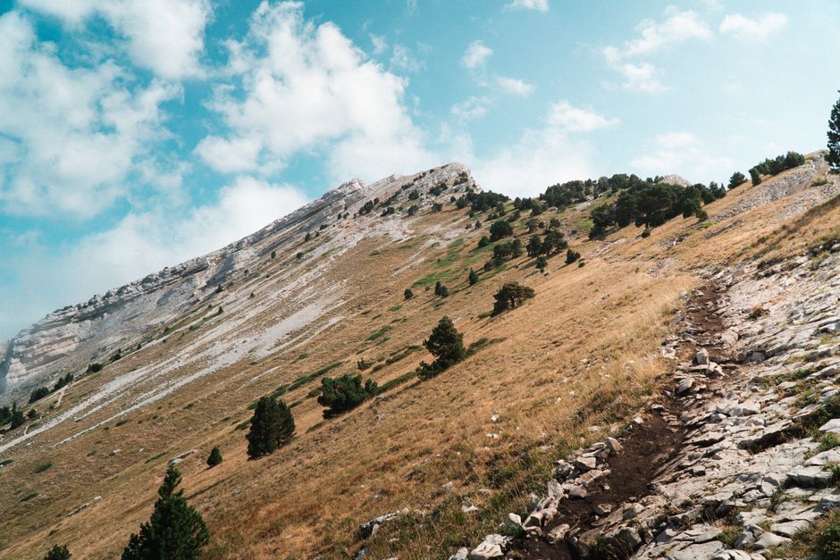 Massif de la Chartreuse : Randonnée sous les Sapins et Bivouac Responsable