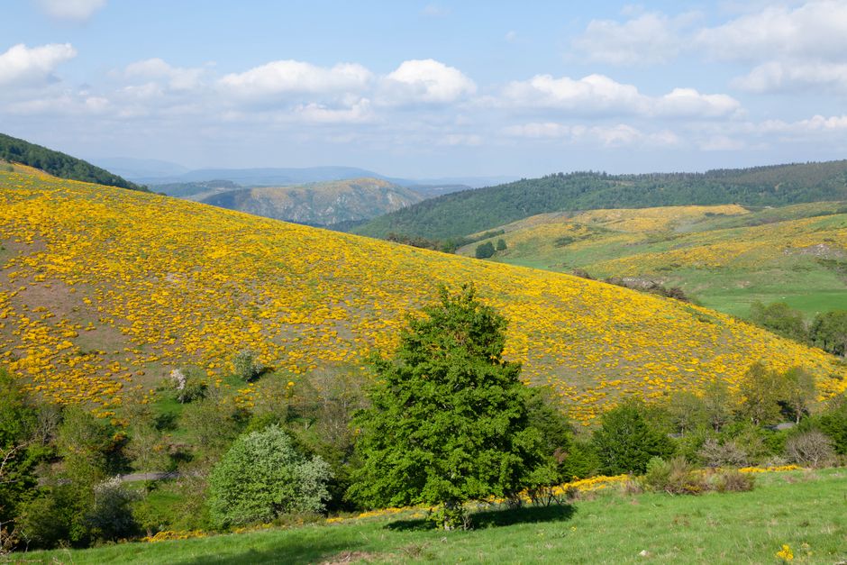 Camping sur les Causses : Randonnée et Patrimoine de Pierre Sèche