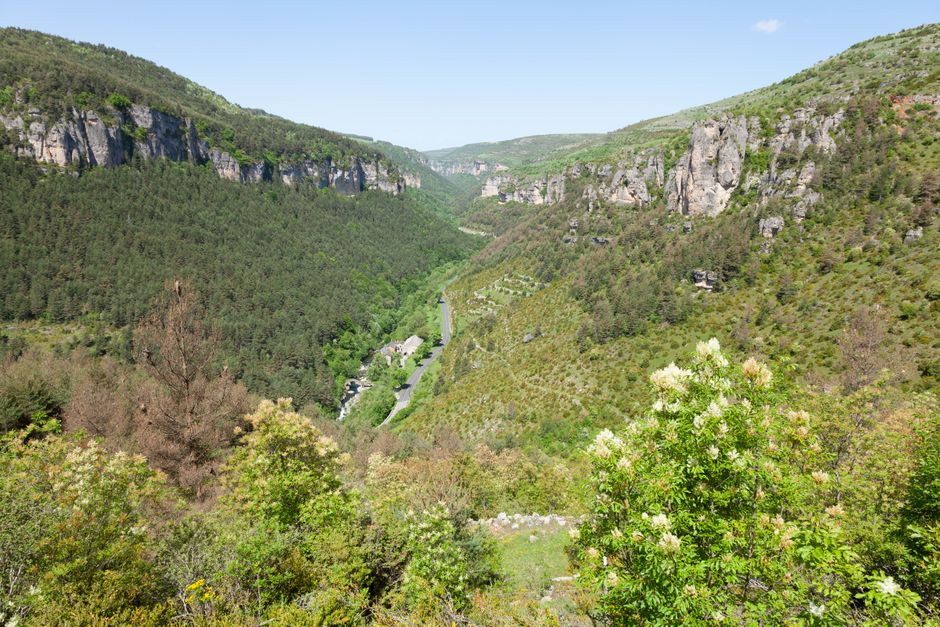 Paysage magnifique de la vallée de Jonte avec une végétation luxuriante et des formations rocheuses à Meyrueis, Occitanie, France.