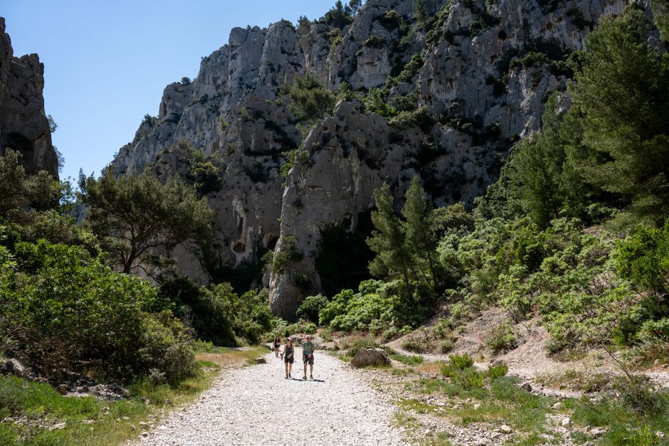 Visiter le Cirque de Navacelles : Guide Randonnée & Infos