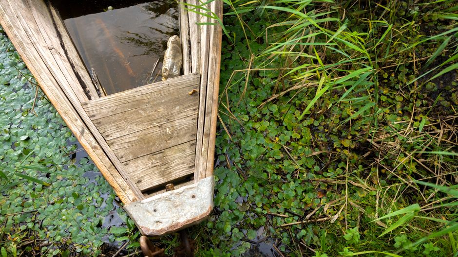 Vue aérienne d'un vieux bateau en bois entouré d'une végétation luxuriante dans un marais.