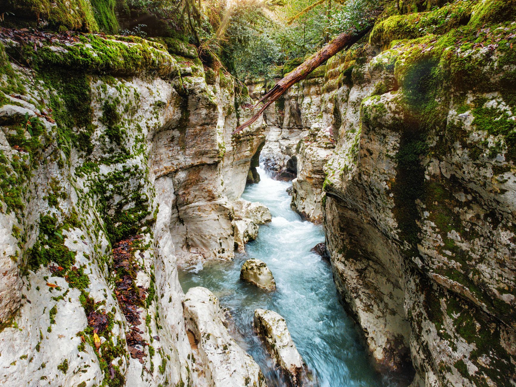 Canyoning dans les Gorges de Galamus