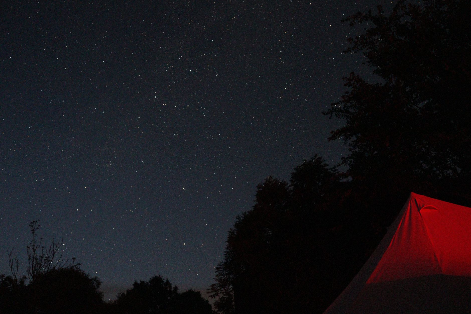 Spot de bivouac en foret la nuit