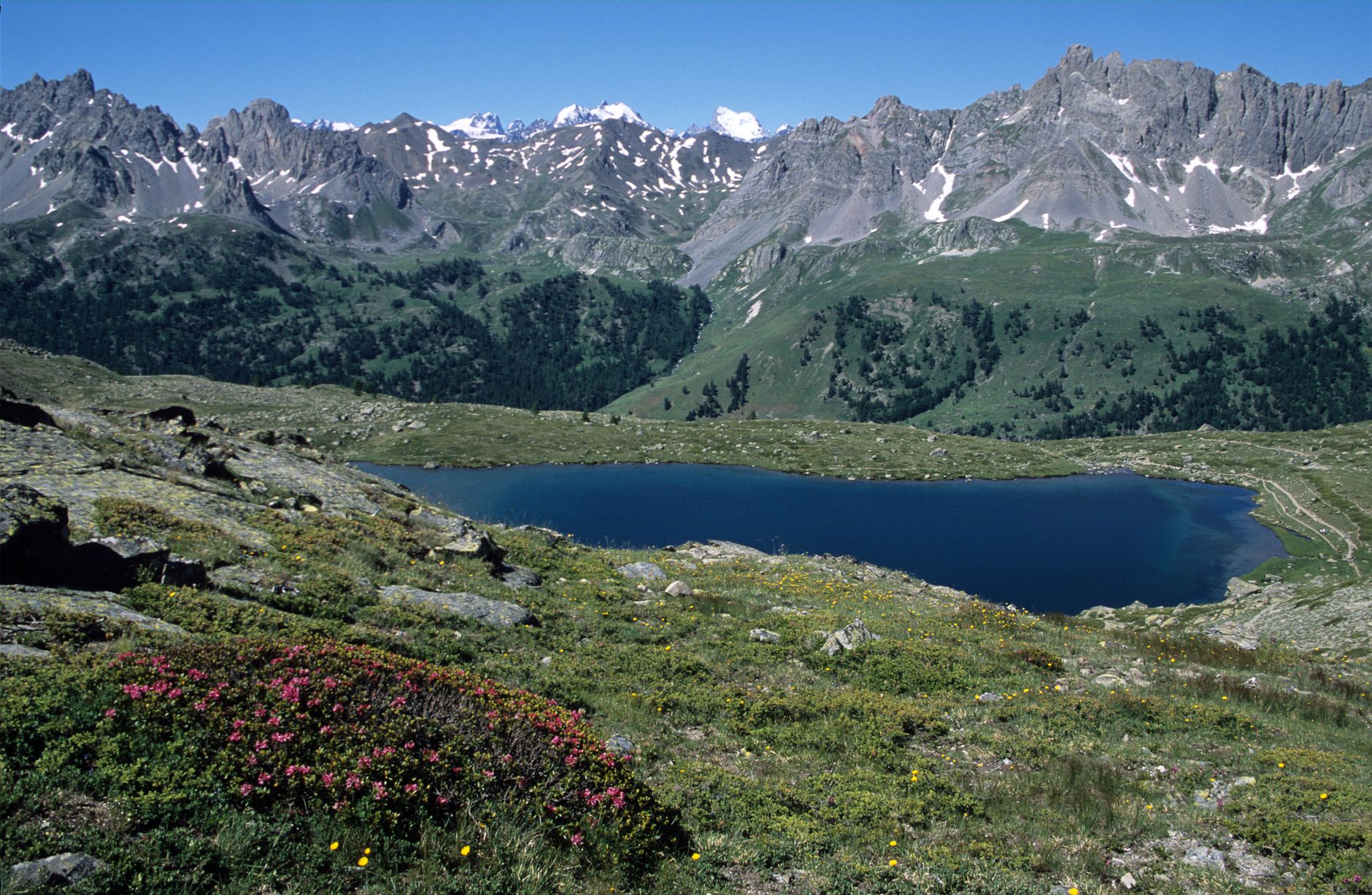 Biodiversité en France : État des Lieux et Enjeux Réels